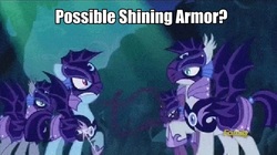 Size: 648x364 | Tagged: safe, edit, edited screencap, screencap, ink eclipse, moonmist, rainbow dash, toxicwind, bat pony, pony, g4, the cutie re-mark, alternate hairstyle, alternate timeline, armor, caption, grainy, hoof shoes, image macro, implied shining armor, night guard, night guard dash, nightmare takeover timeline, text, wrong