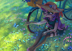 Size: 1280x919 | Tagged: safe, artist:holivi, oc, oc only, butterfly, anthro, plantigrade anthro, g4, anthro oc, bicycle, clothes, cottagecore, female, grass, hat, mare, sitting, smiling, stockings, sun hat, thigh highs