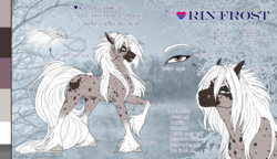 Size: 1600x923 | Tagged: safe, artist:dementra369, oc, oc only, earth pony, pony, male, reference sheet, solo, stallion, unshorn fetlocks