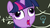Size: 1280x720 | Tagged: safe, screencap, twilight sparkle, alicorn, pony, g4, my little pony best gift ever, chalkboard, close-up, crazy face, derp, discovery family logo, equation, faic, female, invisible stallion, lightbulb, open mouth, pudding face, solo, twilight sparkle (alicorn), twilight sparkle is best facemaker, wat