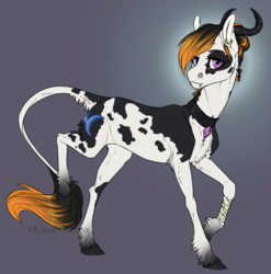 Size: 1010x1024 | Tagged: safe, artist:dementra369, oc, oc only, cow pony, pony, bandage, collar, ear piercing, female, horns, leonine tail, mare, piercing, simple background, solo