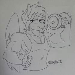 Size: 1836x1836 | Tagged: safe, artist:redxbacon, oc, oc only, oc:delta dart, hippogriff, anthro, clothes, muscles, smug, solo, talons, traditional art, weight lifting, weights, wings