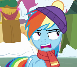 Size: 825x720 | Tagged: safe, screencap, rainbow dash, pegasus, pony, best gift ever, g4, clothes, cropped, female, hat, scarf, winter outfit