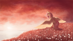 Size: 2560x1440 | Tagged: safe, artist:floverale-hellewen, fluttershy, pegasus, pony, g4, female, field, flower field, looking away, mare, outdoors, signature, solo, spread wings, standing, sunset, wings