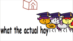 Size: 2560x1440 | Tagged: safe, artist:round trip, apple bloom, scootaloo, sweetie belle, earth pony, pegasus, pony, unicorn, round trip's mlp season 8 in a nutshell, g4, marks for effort, caption, comic sans, cutie mark crusaders, female, filly, graduation cap, hat, reaction image, school, simple background, trio, what the hay?, white background