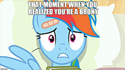 Size: 888x499 | Tagged: safe, edit, edited screencap, screencap, rainbow dash, g4, read it and weep, book, caption, image macro, pillow, realization, text, welcome to the herd