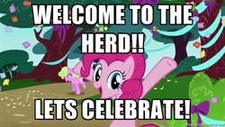 Size: 400x225 | Tagged: safe, edit, edited screencap, screencap, pinkie pie, friendship is magic, g4, artifact, brony, caption, happy, image macro, looking at you, text, tree, welcome to the herd