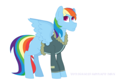 Size: 3944x2592 | Tagged: safe, artist:moonlightnote, rainbow dash, pegasus, pony, g4, bomber jacket, clothes, female, high res, jacket, simple background, solo, white background