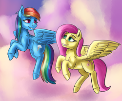 Size: 3500x2900 | Tagged: safe, artist:dukevonkessel, fluttershy, rainbow dash, pegasus, pony, g4, duo, flying, high res