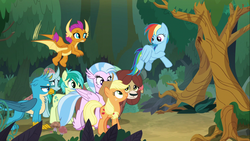 Size: 1366x768 | Tagged: safe, screencap, applejack, gallus, ocellus, rainbow dash, sandbar, silverstream, smolder, yona, changedling, changeling, classical hippogriff, dragon, earth pony, griffon, hippogriff, pegasus, pony, yak, g4, non-compete clause, dragoness, female, flying, forest, male, mare, student six, tree