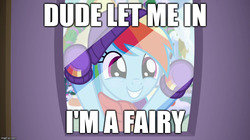 Size: 888x499 | Tagged: safe, edit, edited screencap, screencap, rainbow dash, pony, g4, my little pony best gift ever, :d, caption, clothes, cute, dashabetes, dude let me in, glass, i'm a fairy, image macro, imgflip, impact font, meme, scarf, smiling, text, window, winter, winter outfit