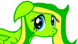 Size: 933x533 | Tagged: safe, artist:didgereethebrony, oc, oc only, oc:boomerang beauty, pegasus, pony, looking at you, pouting, puppy dog eyes, simple background, solo, transparent background