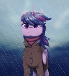 Size: 1100x1206 | Tagged: safe, artist:mrscroup, twilight sparkle, alicorn, pony, g4, clothes, coat, female, looking at you, mare, rain, solo, twilight sparkle (alicorn), wet, wet mane, wet mane twilight sparkle