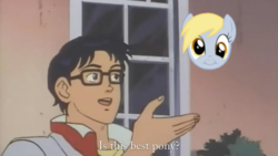 Size: 800x450 | Tagged: safe, derpibooru exclusive, edit, derpy hooves, human, pegasus, pony, g4, :i, best pony, dead meme, derp, dialogue, female, glasses, head, is this a pigeon, looking at you, mare, meme, open mouth, smiling, subtitles, text, the brave fighter of sun fighbird