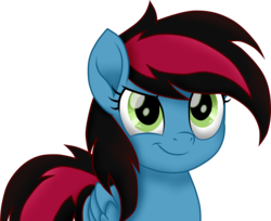 Size: 3666x2997 | Tagged: safe, artist:vicakukac200, oc, oc only, oc:night thunder, pegasus, pony, high res, offspring, parent:rainbow dash, simple background, smiling, smirk, solo, transparent background