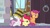 Size: 1920x1080 | Tagged: safe, screencap, apple bloom, scootaloo, sweetie belle, g4, school raze, broom closet, bucket, cutie mark crusaders