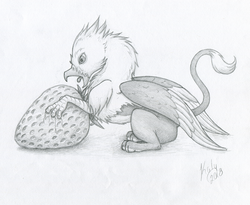 Size: 1502x1234 | Tagged: safe, artist:kalyandra, oc, oc only, oc:der, griffon, black and white, food, grayscale, male, micro, monochrome, open mouth, simple background, solo, strawberry, tongue out, traditional art