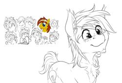 Size: 2160x1465 | Tagged: safe, artist:drizziedoodles, oc, oc only, oc:honey drizzle, pony, facial hair, freckles, male, redraw, sketch, sketch dump, solo, stallion