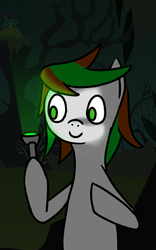 Size: 500x800 | Tagged: safe, artist:vbronny, oc, oc only, earth pony, pony, darkness, female, flashlight (object), hooves, male, mare, night, smiling, solo