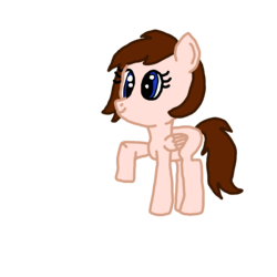 Size: 1600x1600 | Tagged: safe, artist:nightshadowmlp, oc, oc:breanna, pegasus, pony, firealpaca, raised hoof, simple background, transparent background