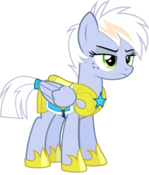 Size: 1700x2000 | Tagged: safe, artist:whalepornoz, oc, oc only, oc:blizzard cloud, pegasus, pony, armor, female, freckles, guardsmare, mare, offspring, parent:fleetfoot, royal guard, simple background, solo, transparent background