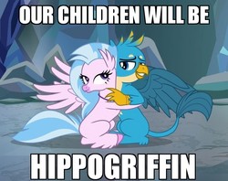 Size: 743x588 | Tagged: safe, edit, edited screencap, screencap, gallus, silverstream, classical hippogriff, griffon, hippogriff, hippogriffon, hybrid, g4, what lies beneath, bedroom eyes, caption, caress, cropped, cute, diastreamies, female, gallabetes, hug, image macro, interspecies, looking at each other, male, out of context, ship:gallstream, shipping, silverstream hugs gallus, straight, text, this will end in pregnancy, this will end in snu snu