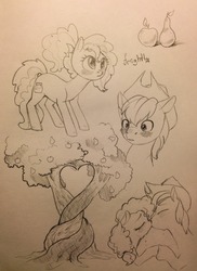 Size: 931x1280 | Tagged: safe, artist:theorderofalisikus, bright mac, pear butter, earth pony, pony, g4, apple, apple tree, blushing, crying, female, food, intertwined trees, kiss on the lips, kissing, male, mare, monochrome, pear, pear tree, pencil drawing, ship:brightbutter, shipping, simple background, stallion, straight, traditional art, tree, white background
