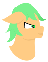 Size: 3000x3880 | Tagged: safe, artist:alltimemine, oc, oc only, unnamed oc, earth pony, pony, bust, female, floppy ears, high res, inkscape, lineless, mare, portrait, profile, simple background, smiling, solo, transparent background, vector
