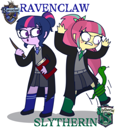 Size: 1245x1378 | Tagged: safe, artist:psychodiamondstar, sci-twi, sour sweet, twilight sparkle, snake, equestria girls, g4, angry, book, clothes, duo, female, glasses, harry potter (series), no pupils, ravenclaw, school uniform, simple background, slytherin, wand, white background, wizard robe