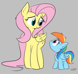 Size: 2455x2326 | Tagged: safe, artist:taurson, fluttershy, rainbow dash, pegasus, pony, g4, cute, dashabetes, duo, female, filly, filly rainbow dash, folded wings, height difference, high res, looking at each other, looking down, looking up, macro, mare, shyabetes, simple background, size difference, smoldash, standing, tallershy, wings, younger
