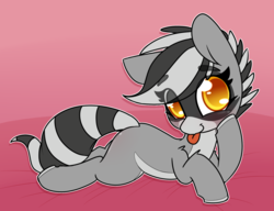 Size: 1280x985 | Tagged: safe, artist:lockheart, oc, oc only, oc:bandy cyoot, pony, raccoon pony, blushing, colored hooves, cute, eye clipping through hair, eyebrows, eyebrows visible through hair, female, leg fluff, looking at you, ocbetes, pale belly, prone, solo, striped tail, tongue out