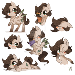 Size: 800x800 | Tagged: safe, artist:ipun, oc, oc only, oc:pacific pine, pegasus, pony, blushing, chibi, deviantart watermark, female, flower, mare, obtrusive watermark, one eye closed, simple background, solo, watermark, white background, wink