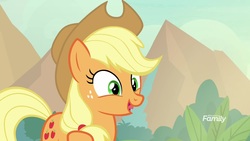 Size: 1920x1080 | Tagged: safe, screencap, applejack, earth pony, pony, g4, sounds of silence, female, mare, solo