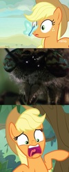 Size: 1008x2528 | Tagged: safe, edit, edited screencap, screencap, applejack, butterfly, earth pony, fly, insect, pony, g4, sounds of silence, close-up, crossover, female, hat, mare, meme, nickelodeon, open mouth, parody, scared, screaming, spongebob squarepants, wormy
