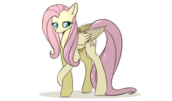 Size: 2500x1468 | Tagged: safe, artist:kirasunnight, fluttershy, pegasus, pony, g4, female, mare, simple background, solo, white background