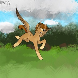 Size: 750x750 | Tagged: safe, artist:harmacist, oc, oc only, pegasus, pony, solo