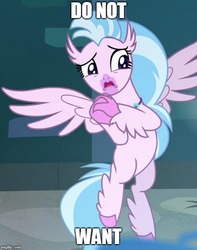 Size: 500x636 | Tagged: safe, edit, edited screencap, screencap, silverstream, classical hippogriff, hippogriff, g4, school raze, clasped hands, cropped, do not want, female, image macro, meme, solo, spread wings, text, wings