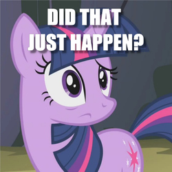 Size: 530x530 | Tagged: safe, edit, edited screencap, screencap, twilight sparkle, pony, dragonshy, g4, confused, cropped, female, image macro, meme, question, solo, text
