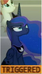 Size: 292x516 | Tagged: safe, edit, edited screencap, screencap, princess luna, pony, g4, horse play, season 8, angry, cropped, meme, solo focus, sun, text, triggered