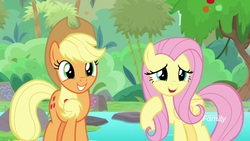 Size: 1920x1080 | Tagged: safe, screencap, applejack, fluttershy, pony, g4, sounds of silence, bamboo, water
