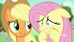 Size: 1920x1080 | Tagged: safe, screencap, applejack, fluttershy, pony, g4, sounds of silence, duo, female, floppy ears, mare, scared