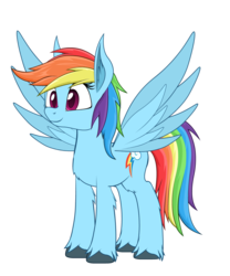 Size: 1000x1200 | Tagged: safe, artist:yudhaikeledai, rainbow dash, pegasus, pony, g4, ear fluff, female, mare, simple background, smiling, solo, spread wings, transparent background, unshorn fetlocks, wings