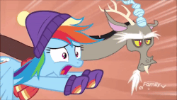 Size: 600x338 | Tagged: safe, screencap, discord, rainbow dash, pony, g4, my little pony best gift ever, animated, clothes, discord is not amused, discovery family logo, duo, flying, gif, raised eyebrow, scarf, speed lines, unamused, winter outfit