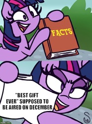 Size: 500x667 | Tagged: safe, artist:quarium edits, twilight sparkle, alicorn, pony, g4, my little pony best gift ever, my little pony: friendship is magic, christmas, december, exploitable meme, female, holiday, mare, meme, solo, twilight sparkle (alicorn), twilight's fact book