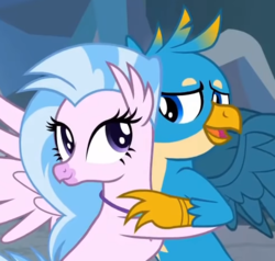 Size: 486x462 | Tagged: safe, screencap, gallus, silverstream, griffon, hippogriff, g4, what lies beneath, cropped, hug, looking at each other, shipping fuel, silverstream hugs gallus