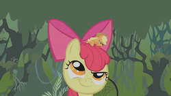 Size: 1280x720 | Tagged: safe, screencap, apple bloom, applejack, earth pony, pony, bridle gossip, g4, appletini, duo, everfree forest, female, filly, foal, mare, micro, sisters