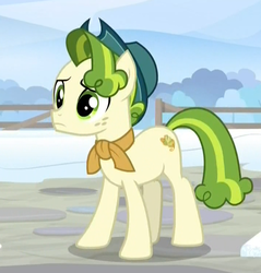 Size: 715x748 | Tagged: safe, screencap, pistachio, earth pony, pony, g4, my little pony best gift ever, cropped, male, solo, stallion