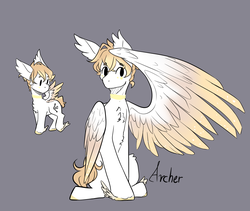 Size: 1779x1503 | Tagged: safe, artist:harmonyskish, oc, oc only, oc:archer, pegasus, pony, chibi, choker, colored wings, feathered fetlocks, gradient wings, gray background, large wings, male, simple background, solo, stallion, winged hooves, wings