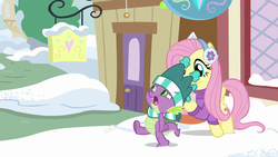 Size: 1280x720 | Tagged: safe, screencap, fluttershy, spike, dragon, pegasus, pony, best gift ever, g4, clothes, female, fluttershy's purple sweater, hat, male, mare, scarf, striped scarf, sweater, sweatershy, tail, winged spike, wings, winter outfit