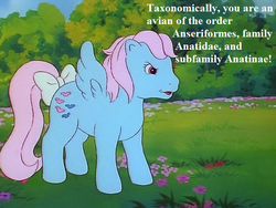 Size: 676x507 | Tagged: safe, edit, edited screencap, editor:korora, screencap, wind whistler, pony, g1, mish mash melee, my little pony 'n friends, bow, cropped, dialogue, female, op is a duck (reaction image), reaction image, sesquipedalian loquaciousness, solo, tail bow